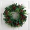 Northlight Pre-Lit Battery Operated Mixed Pine and Berries Christmas Wreath - 24" - Warm White LED Lights